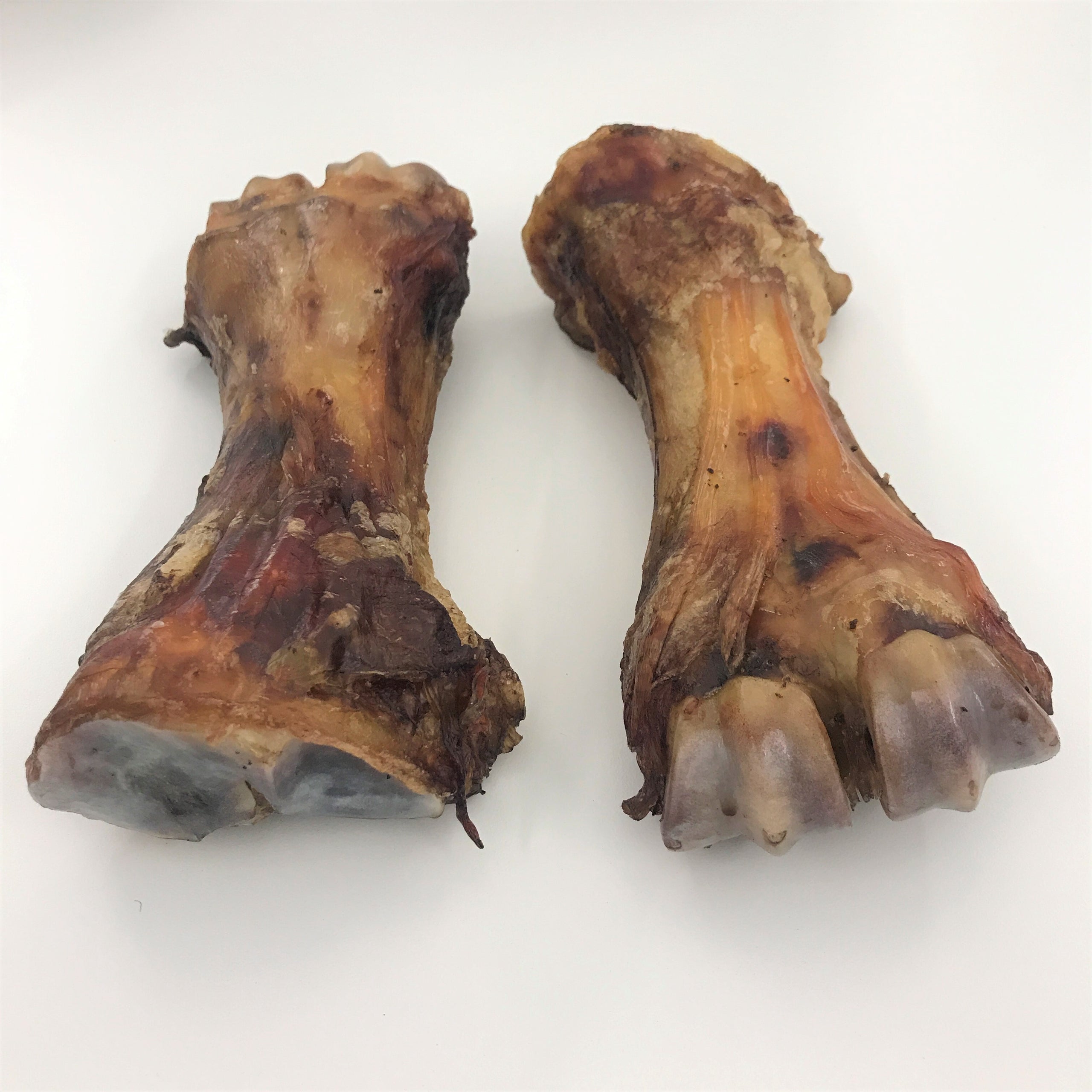 Beef shin bone for dogs clearance